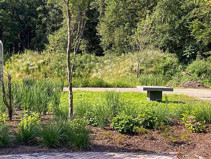 camperplaats in groene omgeving