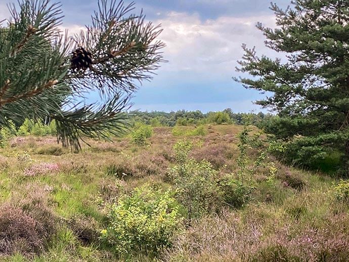 wandelen natuurgebied eersel