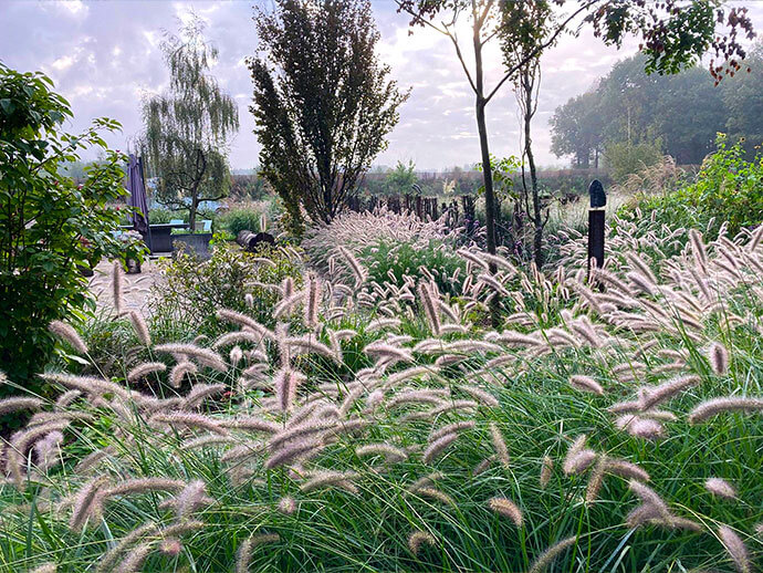 genieten van natuurlijk landschap blij-venneke