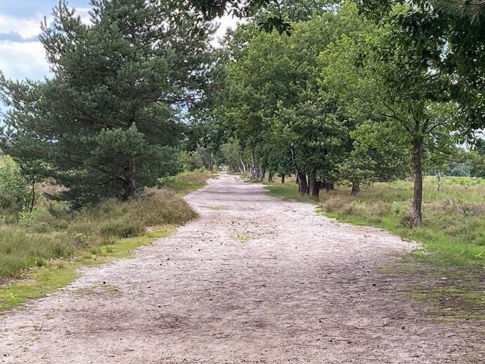 natuurgebied eersel tn