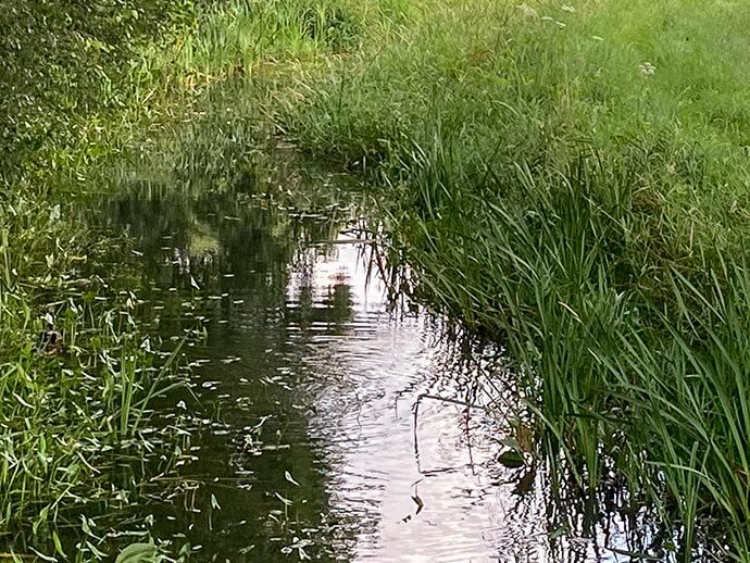 ontspannen in natuur eersel