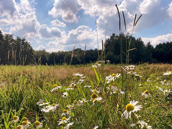 wandelen natuurgebied eersel