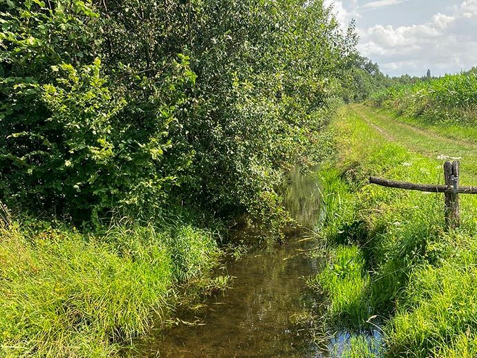 wandelroute natuur eersel