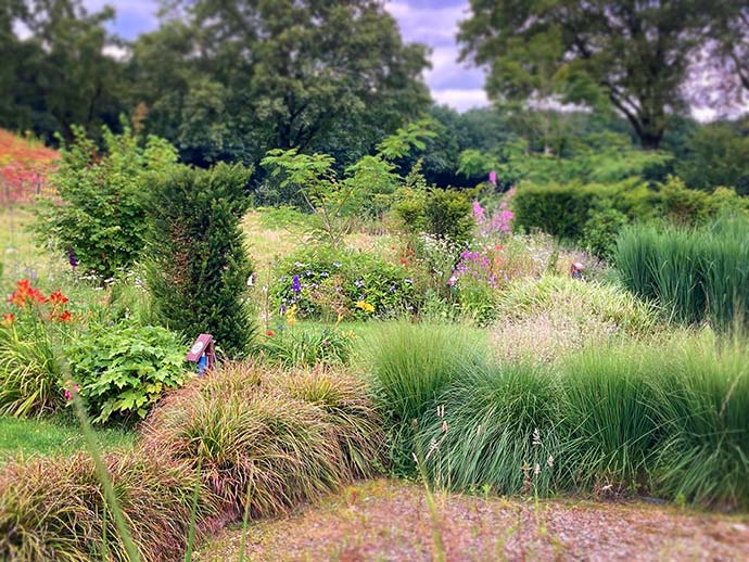 colorful camping spots